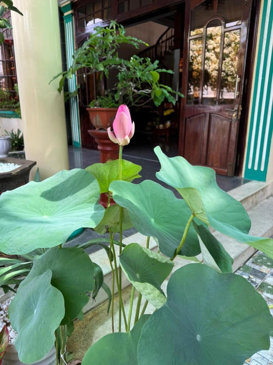 Noel Homestay Tuy Hòa Buitenkant foto